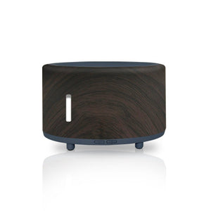 Outdoor Camping Bluetooth Music Flame Humidifier - Zambeel