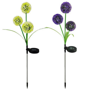 Outdoor Solar Lantern Dandelion Light 3LED - Zambeel