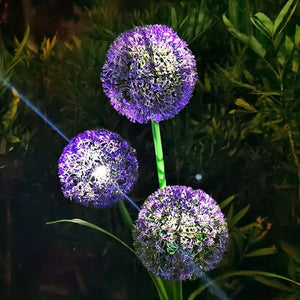 Outdoor Solar Lantern Dandelion Light 3LED - Zambeel