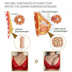 Papaya Supplement - Zambeel