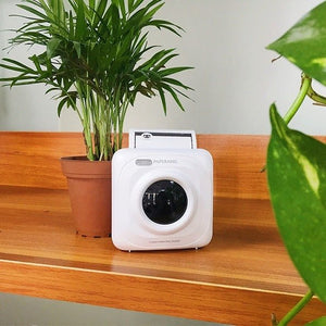 Paperang Thermal Printer Mini Mobile Photo Printer - Zambeel
