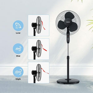 Pedestal Fan - Zambeel