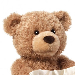 Peekaboo Teddy Bear - Zambeel