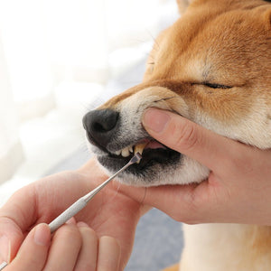 Pet Beauty Pen - Zambeel