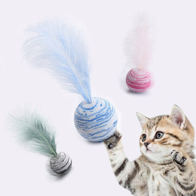 Pet Cat Toy Ball - Zambeel