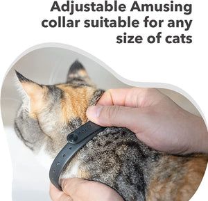 Pet Cat Toy Laser Collar - Zambeel