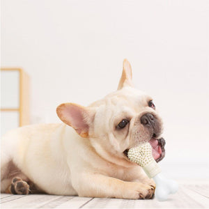 Pet Chewing Toy - Zambeel