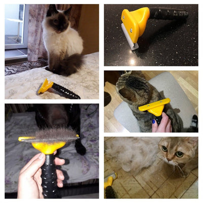 Pet Comb - Zambeel