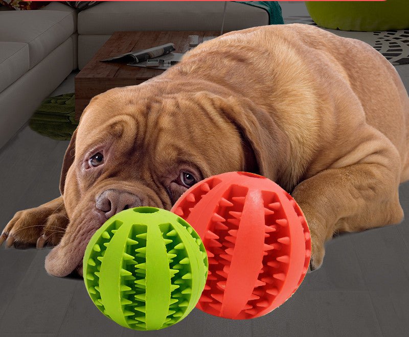 Pet Dog Toy Bite Resistant Molar Stick Puppy Ball - Zambeel