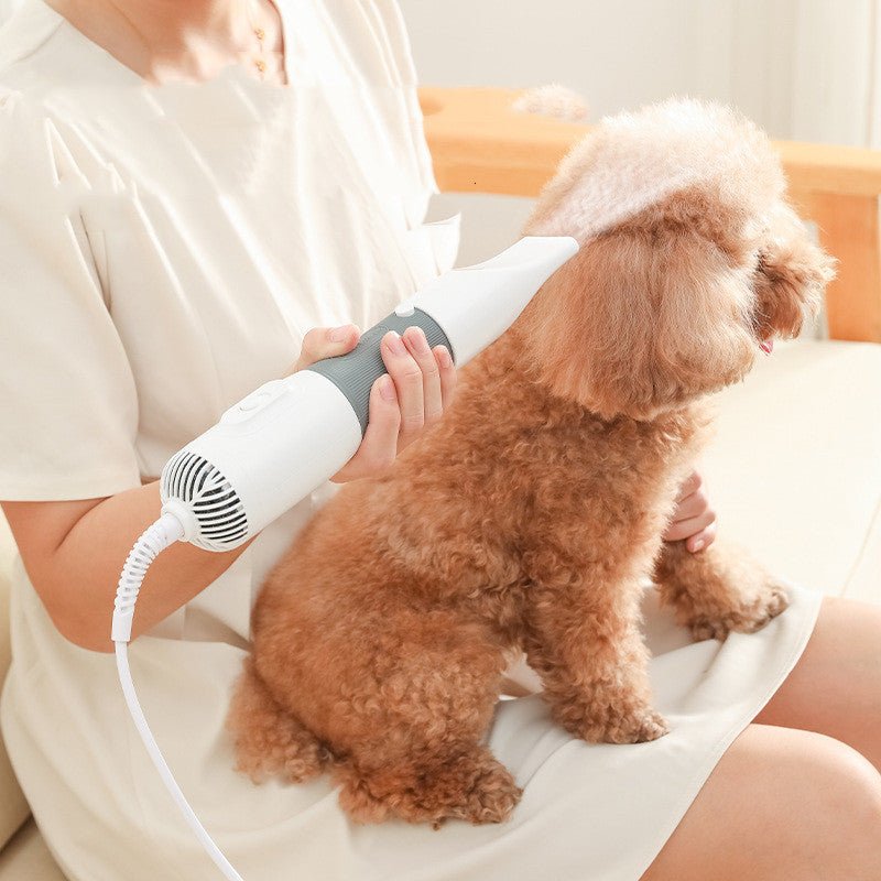 Pet Electric Hair Pulling And Blowing Comb - Zambeel