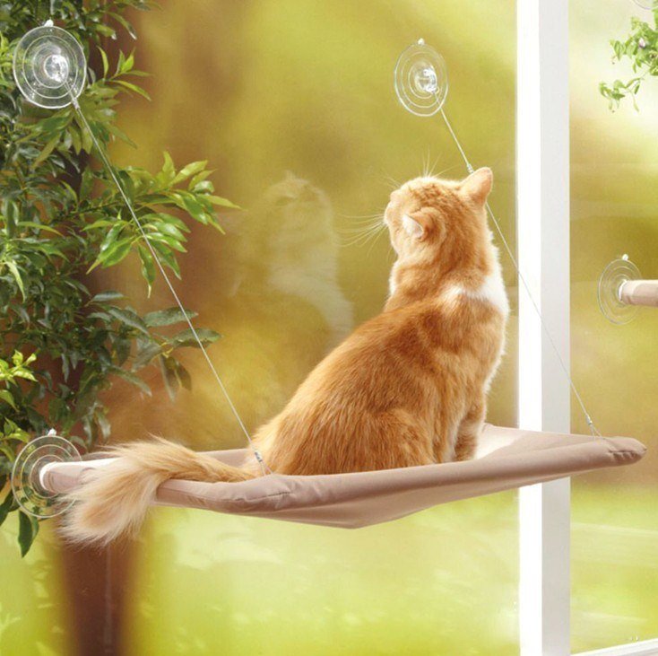 Pet Hanging Beds Cat Sunny Window Seat Mount Hammock Comfortable Cat Shelf Seat - Zambeel