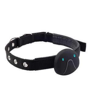 Pet Locator Dog Smart Mini Tracker Waterproof Anti Lost Collar Tracker - Zambeel