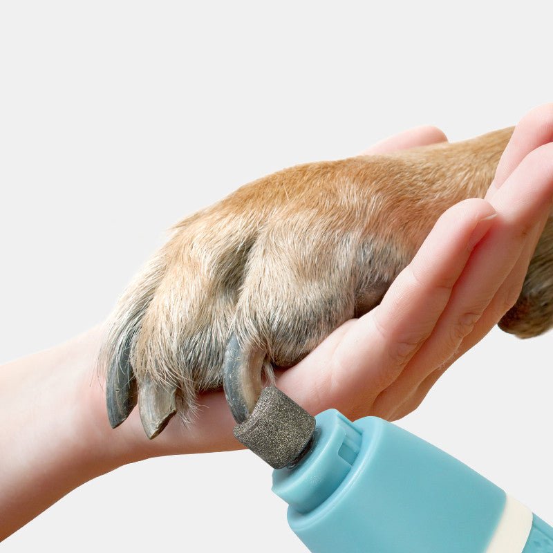 Pet Nail Polisher And Hair Trimmer One Machine Dual Purpose Household Pets - Zambeel