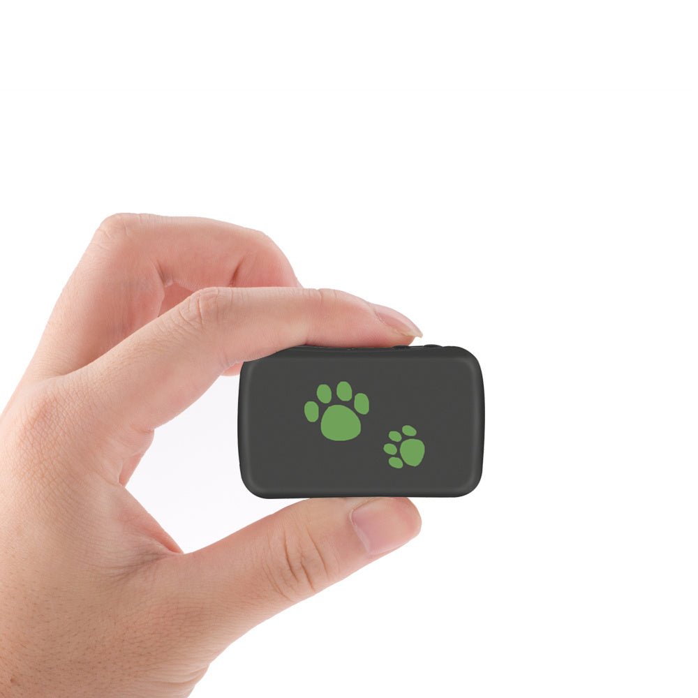 Pet PVC Material GPS Tracker Anti - lost - Zambeel