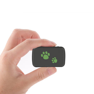Pet PVC Material GPS Tracker Anti - lost - Zambeel