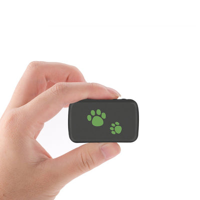 Pet PVC Material GPS Tracker Anti - lost - Zambeel