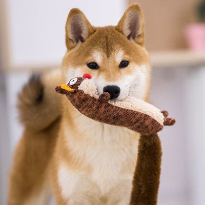 Pet Relaxing Plush Sounding Toys - Zambeel