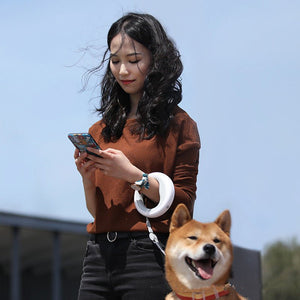 Pet Retractable Traction Rope Upgrade Type Dog Walking Leash Dog Chain - Zambeel