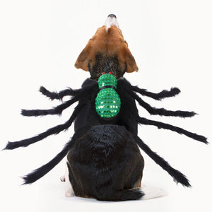Pet Sequined Spider Chest And Back Halloween Creative Cats, Dogs, Small Dogs And Costumes - Zambeel