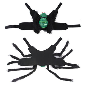 Pet Sequined Spider Chest And Back Halloween Creative Cats, Dogs, Small Dogs And Costumes - Zambeel