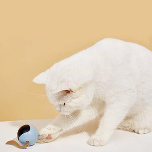 Pet Smart Interactive Colorful LED Rotating Ball - Zambeel
