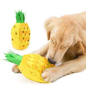 Pet Soft Toy - Zambeel