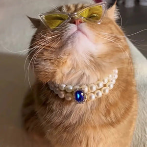 Pet Square Gem Collar Loves And Cats Photo - Zambeel