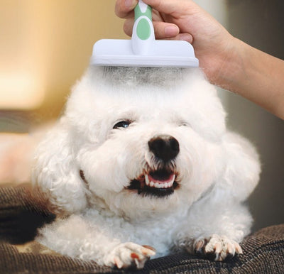 Pet Supplies - Dog Knots, Unraveled Combs - Zambeel