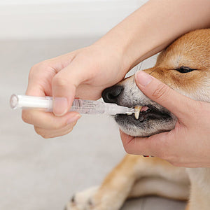 Pet Teeth Repairing Kit For Dog Cat Teeth Cleaning Pen Kit - Zambeel