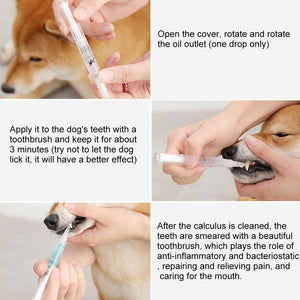 Pet Teeth Repairing Kit For Dog Cat Teeth Cleaning Pen Kit - Zambeel