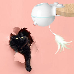 Pet Toy Ball - Zambeel