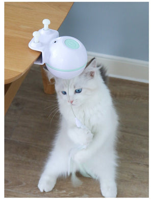 Pet Toy Ball - Zambeel