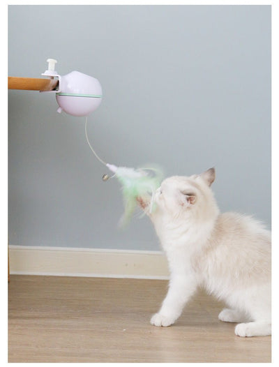 Pet Toy Ball - Zambeel