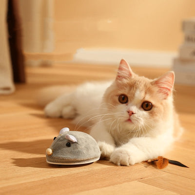 Pet Toy Electric Mouse Cat Stick - Zambeel