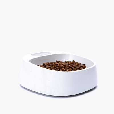 Pet Weighing Dog Food Bowl - Zambeel