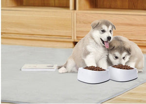Pet Weighing Dog Food Bowl - Zambeel