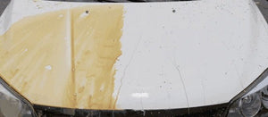 Polishing Protection Of New Car Wax Solid Coating With Crystal Wax Coating For White Car Paint - Zambeel