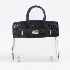 Popular Internet Celebrity Key Cover Handbag Transparent Small Bag - Zambeel