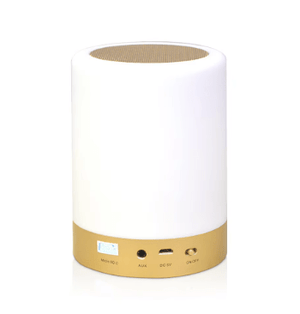 Portable Quran Speaker - Zambeel