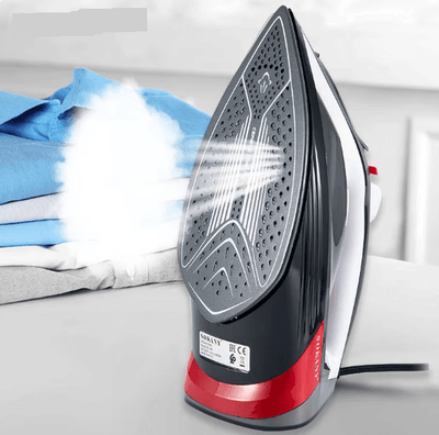 Portable Steamer Iron - Zambeel