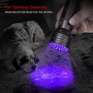 Portable UV Flashlight - Zambeel