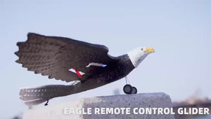 نسر RC للأطفال
