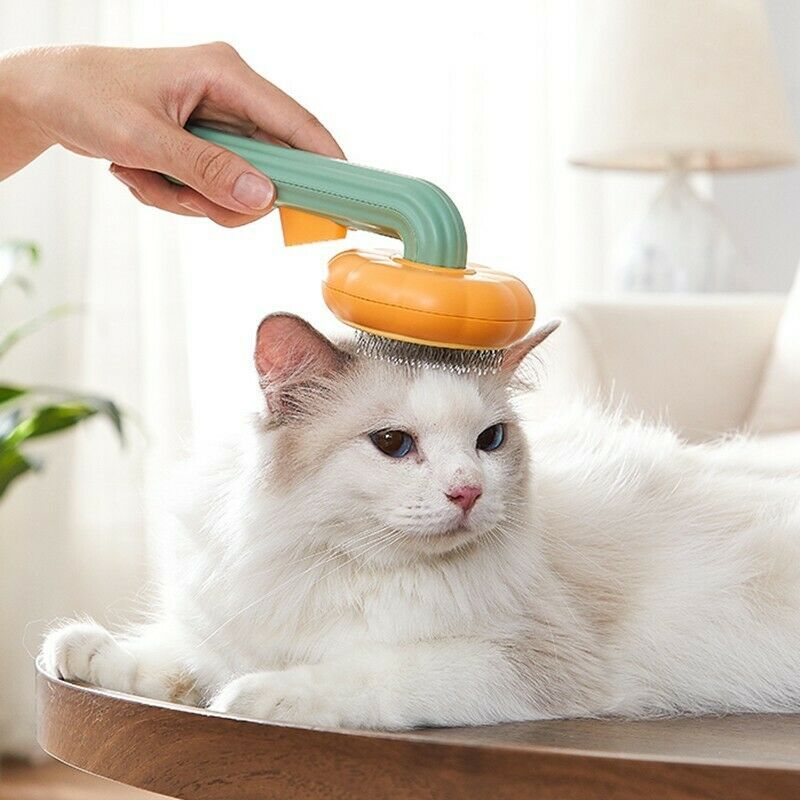 Pumpkin Comb Type Cat And Dog Needle Comb, Dog Brush For Pet Grooming And Hair Remover Supply Puppy Rabbit, Cat Brush Grooming Pet Pumpkin Brush - Zambeel