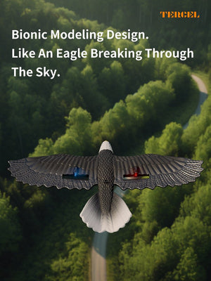 RC Eagle For Kids - Zambeel