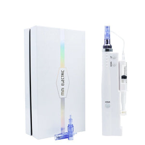 Rechargeable Handheld Portable Skin Care Introduction Electric Micro Needle Instrument - Zambeel