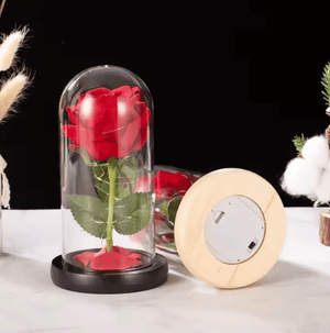 Rose Lamp - Zambeel