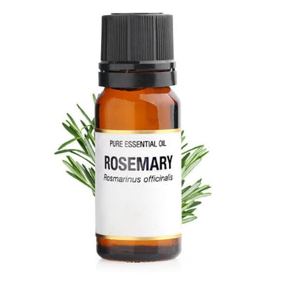 Rosemary Essential Oil 10ml - Zambeel