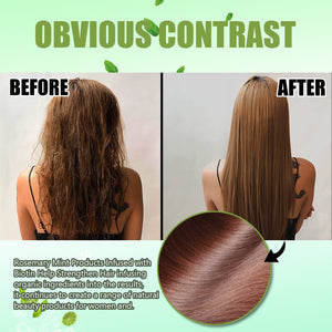 Rosemary Mint Shampoo Moisturizing Supple Hair Repair Dry Frizz Refreshing Shampoo Hair Care - Zambeel