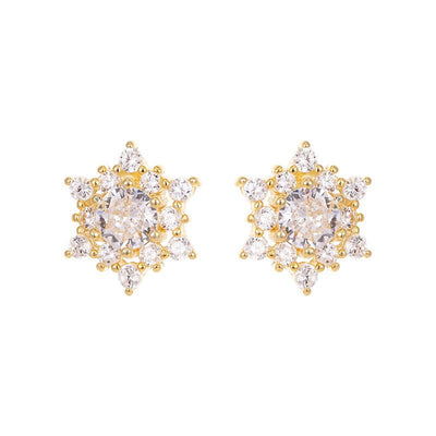 S925 Silver French Snowflake Zircon Stud Earrings - Zambeel