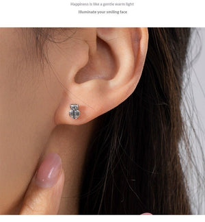 S925 Sterling Silver Creative Design Cute Owl Stud Earrings For Women - Zambeel